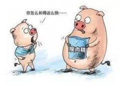 瘦肉精检测仪厂家 - 30cc彩票网
